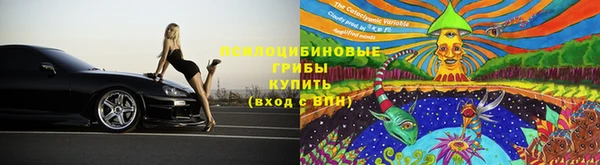 прущие крисы Дмитровск