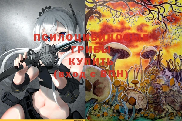 прущие крисы Дмитровск
